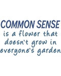 Common Sense
